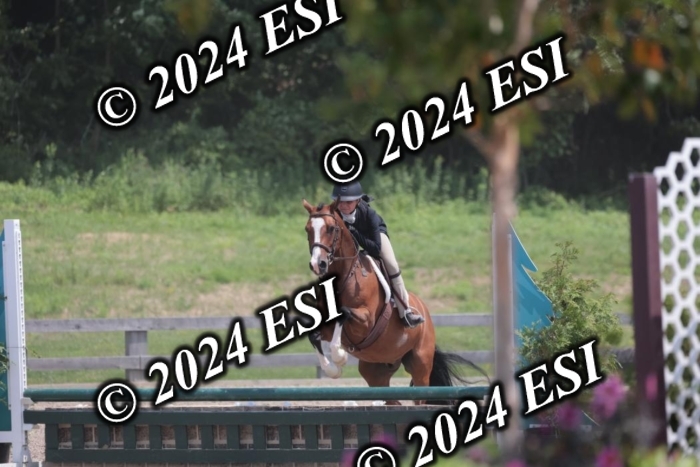 628SC1_7805