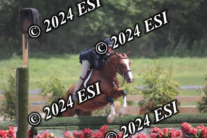 628SC1_7817
