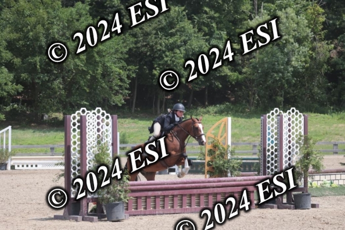 628SC1_7823