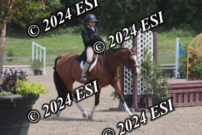 628SC1_7838