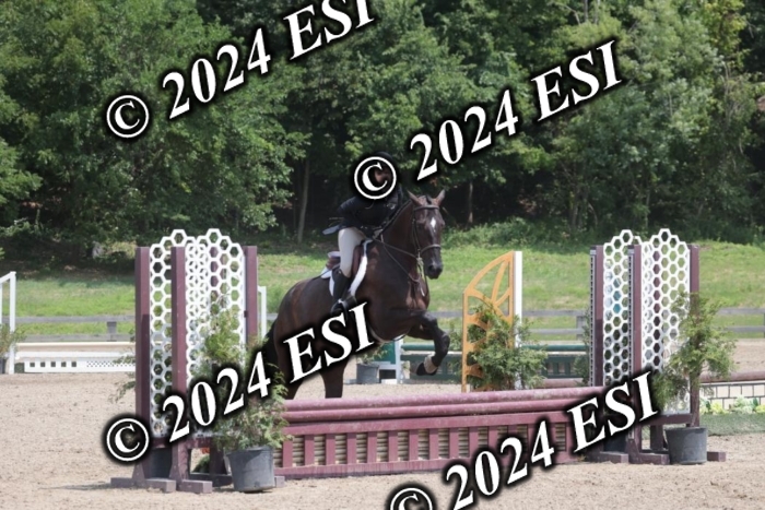 628SC1_7858
