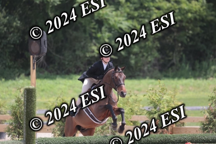 628SC1_7882
