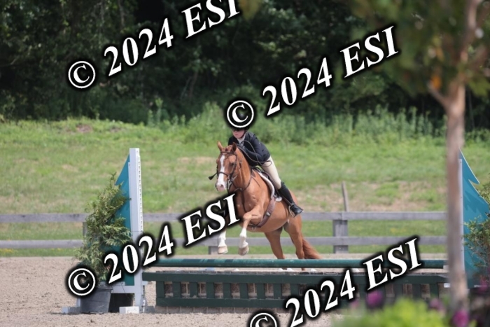 628SC1_7937
