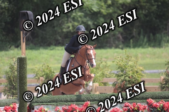 628SC1_7944