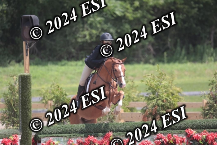 628SC1_7945