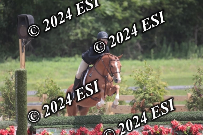 628SC1_7946