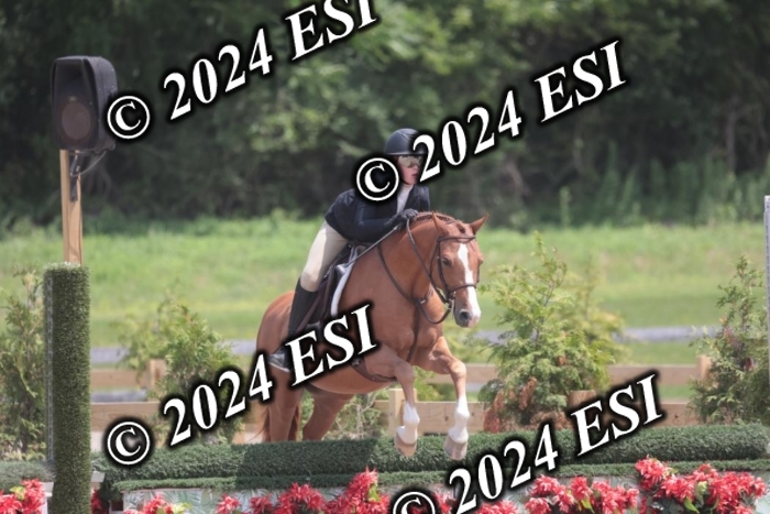 628SC1_7947