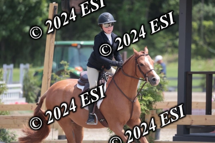 628SC1_7951
