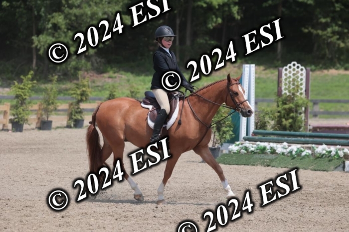 628SC1_7967