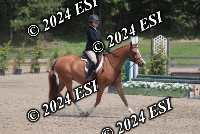 628SC1_7968