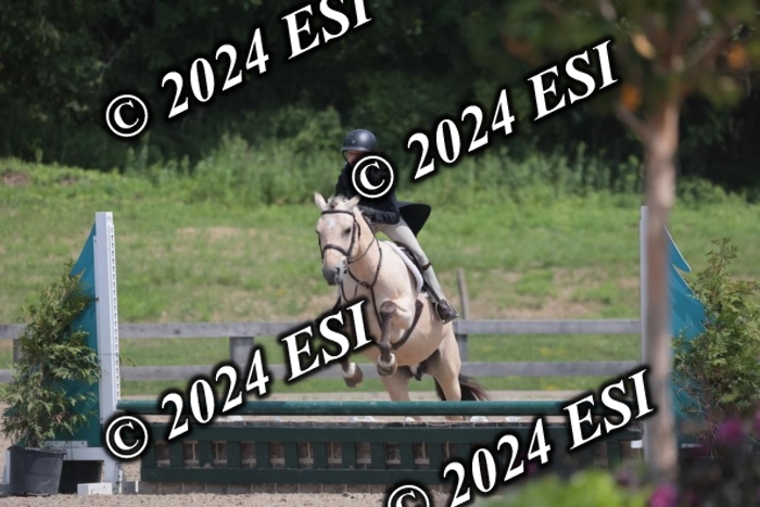 628SC1_7980