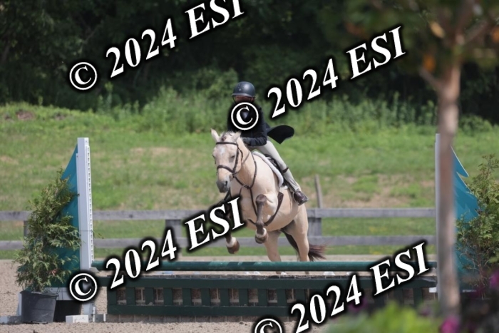 628SC1_7981