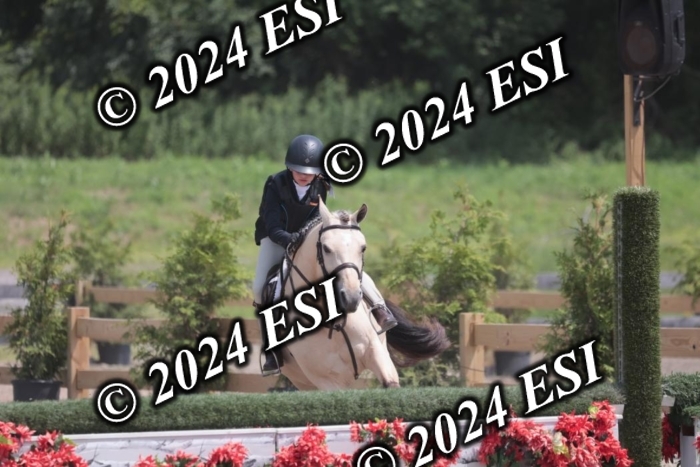 628SC1_7989