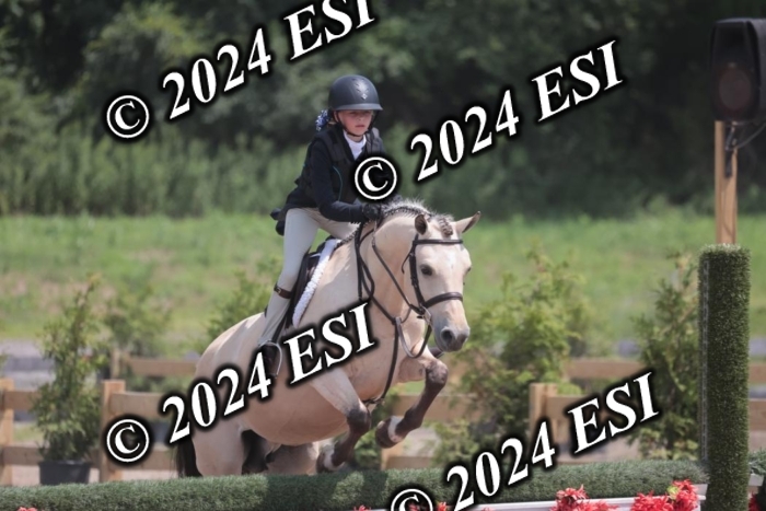 628SC1_7994