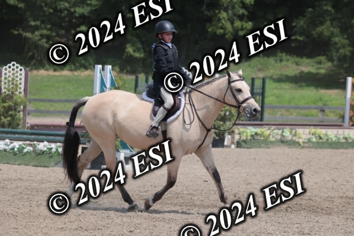 628SC1_8018