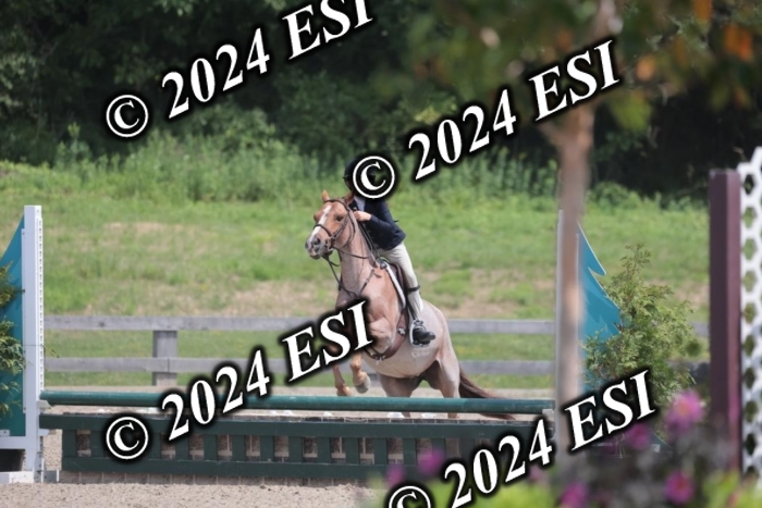 628SC1_8023