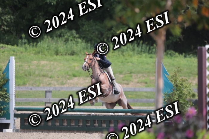 628SC1_8024