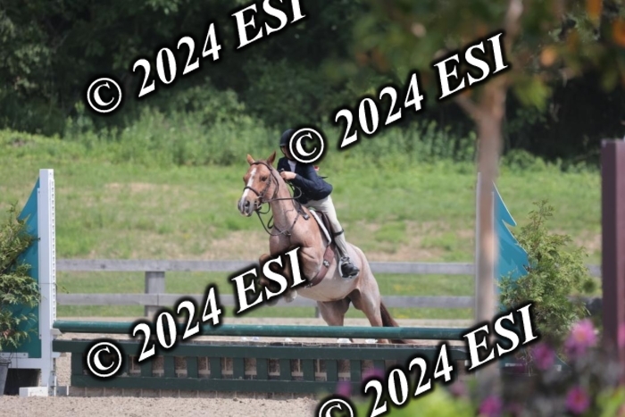 628SC1_8025