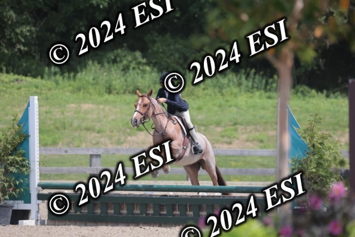 628SC1_8026