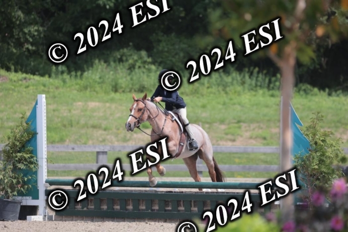 628SC1_8027