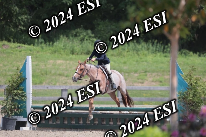628SC1_8028