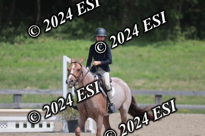 628SC1_8029