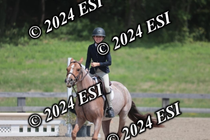 628SC1_8030