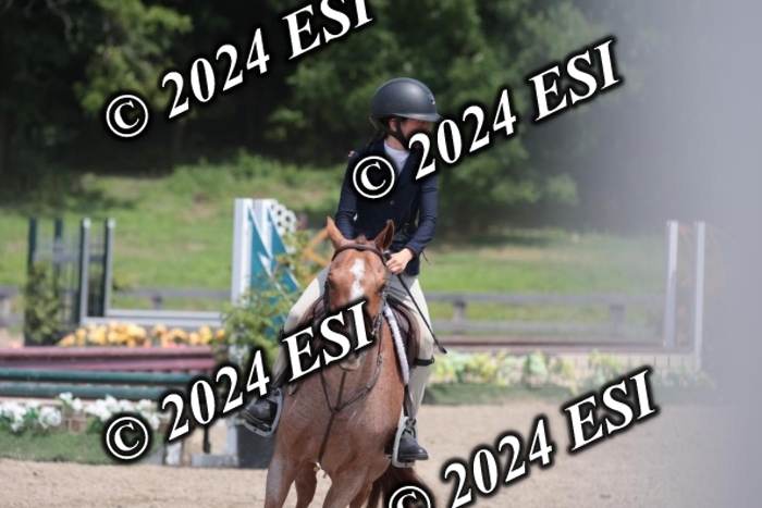 628SC1_8031