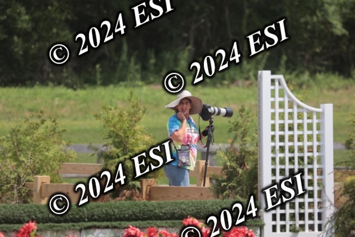 628SC1_8034