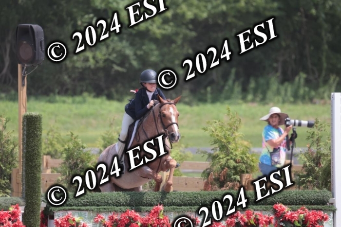 628SC1_8037