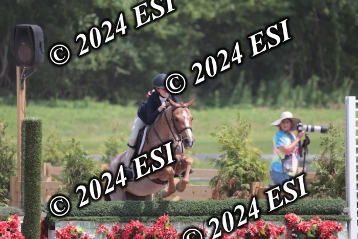 628SC1_8038