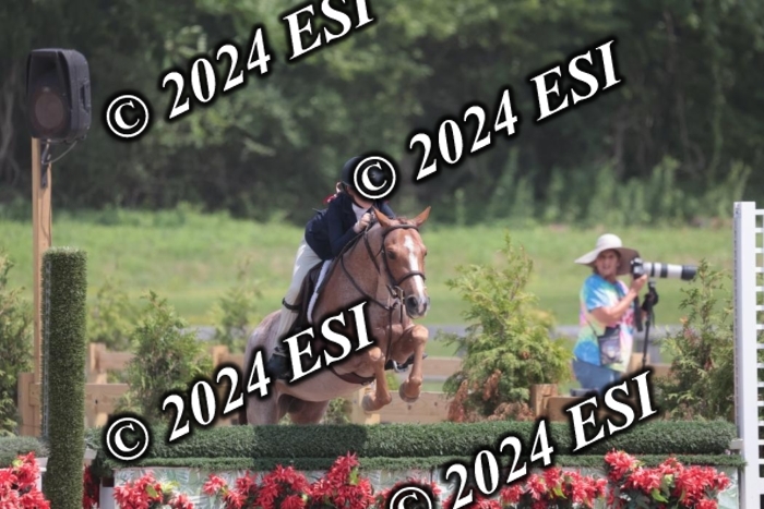 628SC1_8039