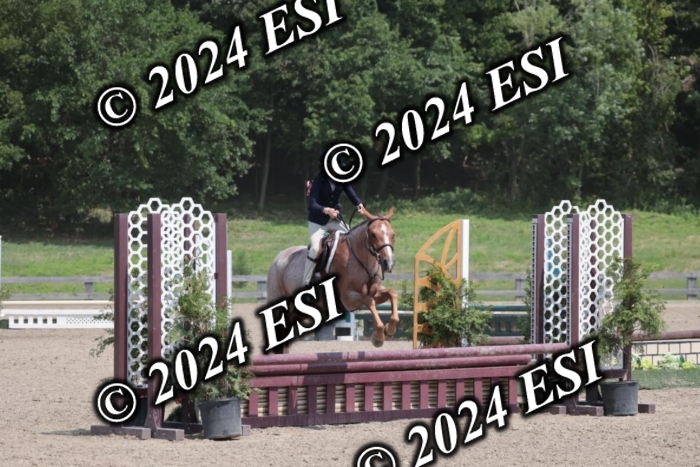 628SC1_8046