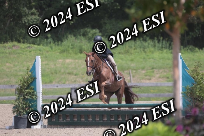 628SC1_8061