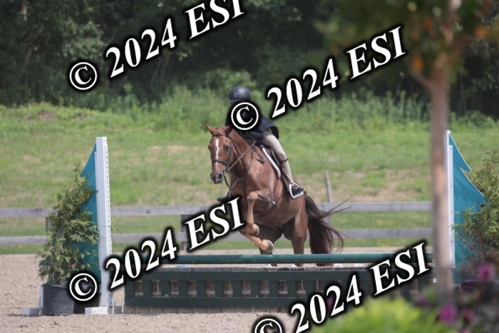 628SC1_8062