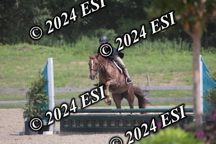628SC1_8064
