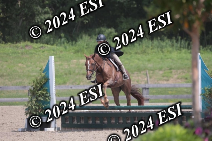 628SC1_8065