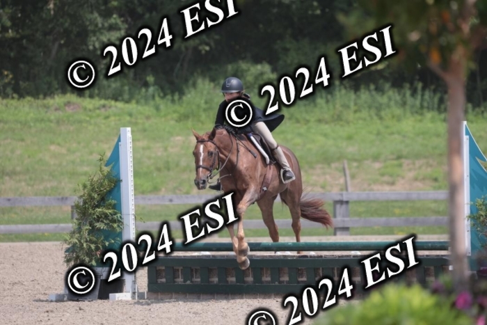 628SC1_8066
