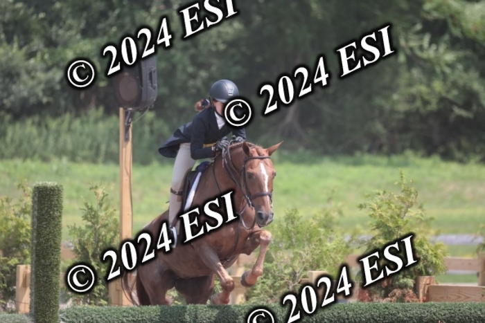 628SC1_8074