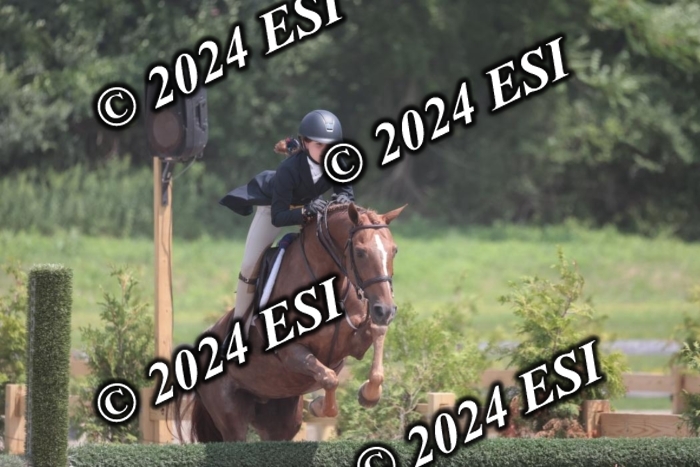 628SC1_8075
