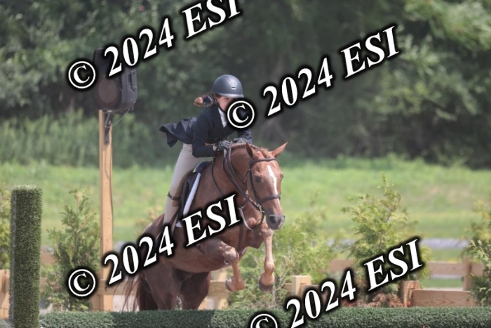 628SC1_8076