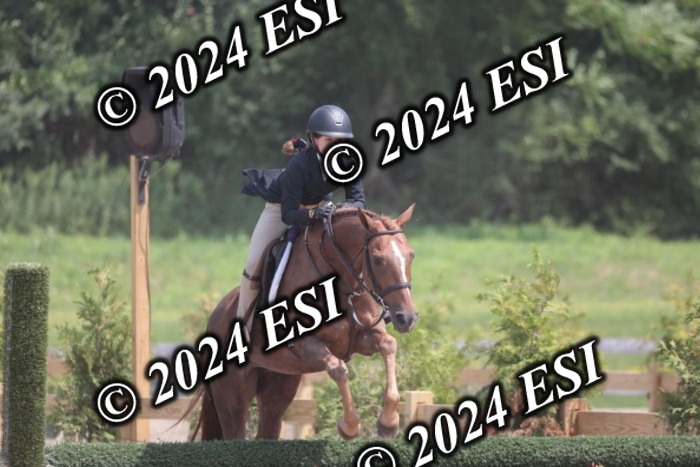 628SC1_8077