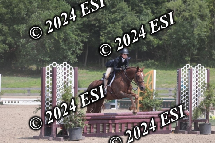 628SC1_8085