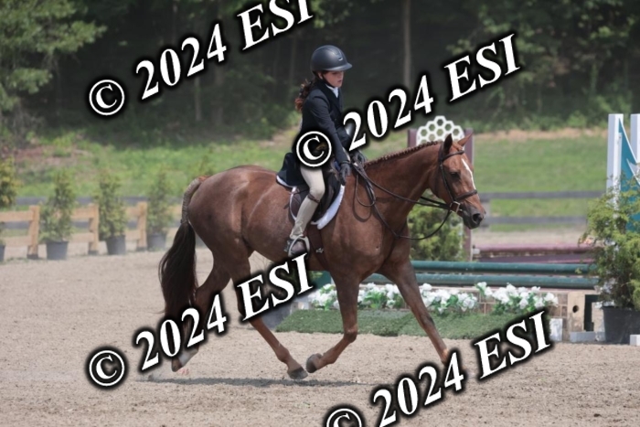 628SC1_8098