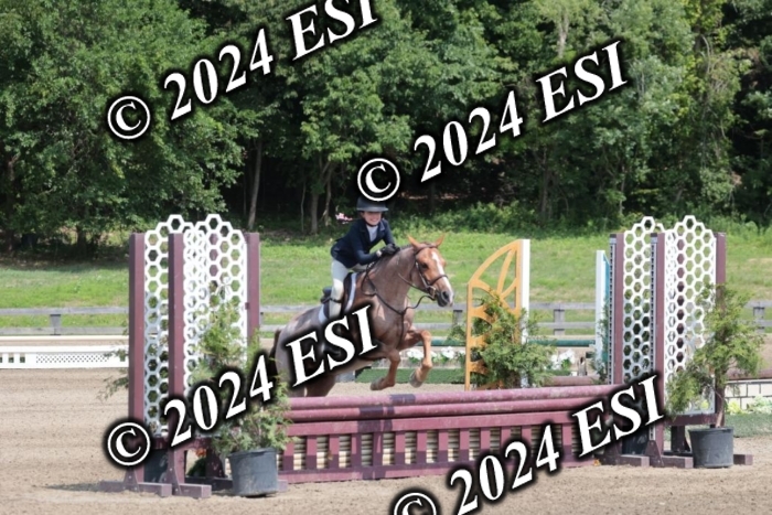 628SC1_8117