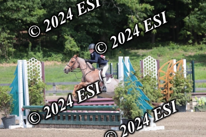 628SC1_8121