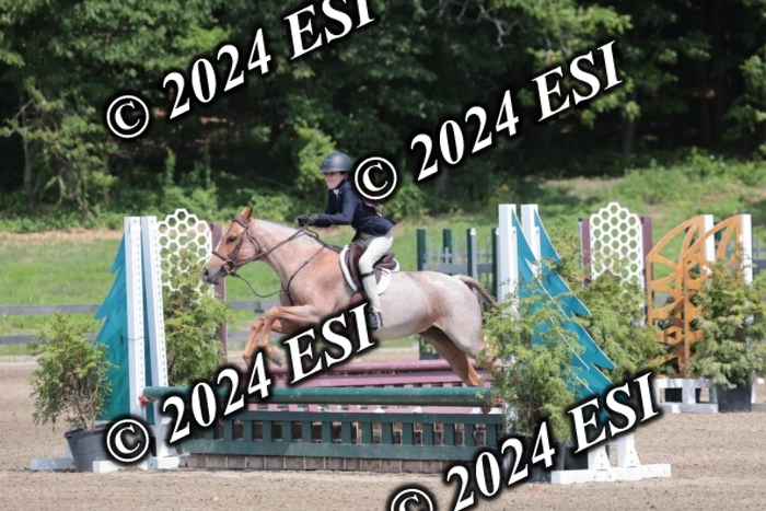 628SC1_8123