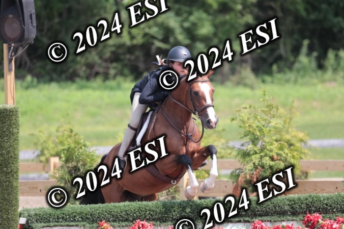 628SC1_8135