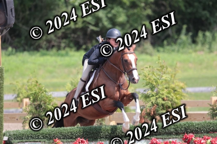 628SC1_8136