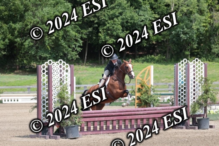 628SC1_8139